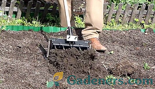 Jak správně kopat v zahradě: tipy zkušenosti