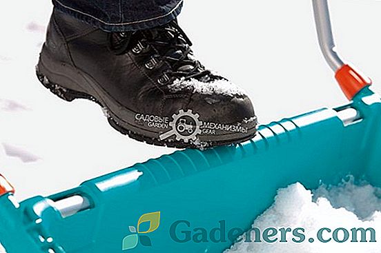 Sniego valymo įranga: rūšių savybės ir atrankos kriterijai