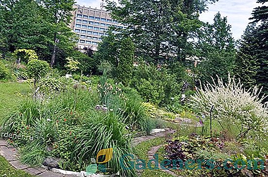 Ботаническата градина в Твер: страхотно чудо в стила на руския романтизъм
