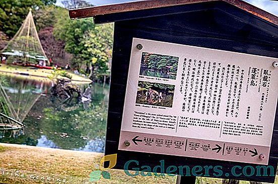 Градина Rikugien - пейзажно въплъщение на поетични образи
