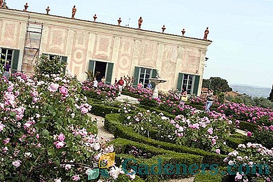 Градина на Джардино и Ровине ди Нинфа: потапяне в историята