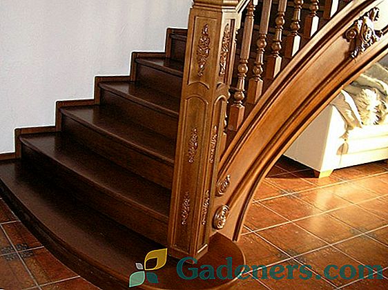 Spiralne schody wykonane z drewna w wiejskim domu własnymi rękami