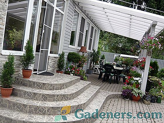 Як прикрасити будинок і сад гарбузами на Хеллоуїн: створюємо містичну атмосферу