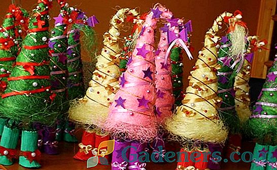 Ako urobiť topiary vo forme vianočného stromčeka