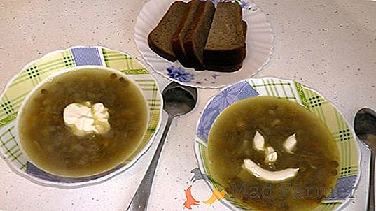 Видео: готвене във вилата - супа от леща