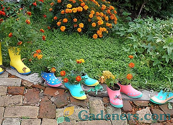 8 najważniejszych przypadków w ogrodzie i ogrodzie warzywnym w kraju jesienią