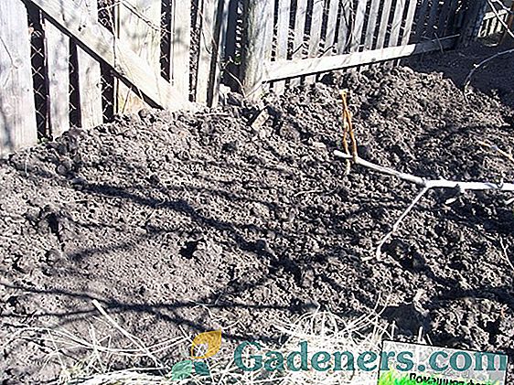 Kako pripraviti tla za saditev krompirja