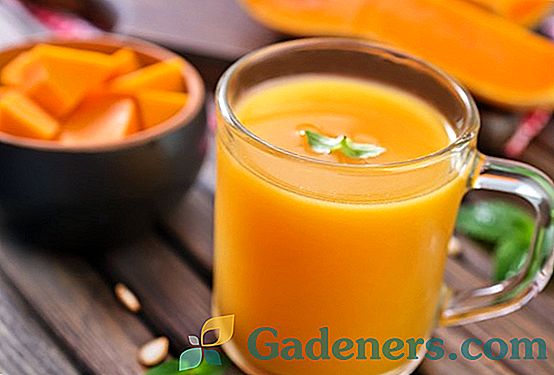 Vitamínová šťava z tekvice s pomarančom: lahodné domáce prípravky na zimu