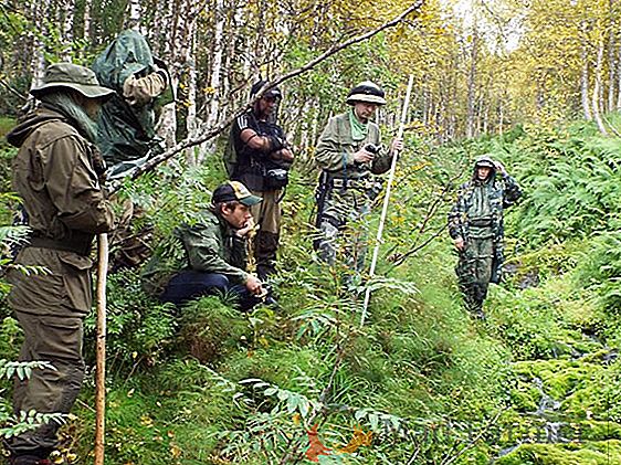 Тайны и домыслы о белых тараканах-альбиносах: откуда взялись, что это вообще такое, опасны ли для человека