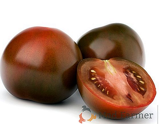 Um tomate maravilhoso recomendado para o cultivo em estufas é a variedade híbrida "Kukla"