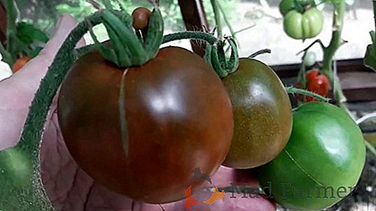 Um tomate pequeno mas muito fértil "Guarda Vermelha": uma foto e uma descrição da variedade