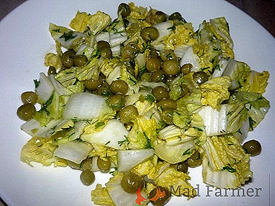 Velmi zajímavý salát z Peking zelí s jazykem - spousta receptů, tipy na porce