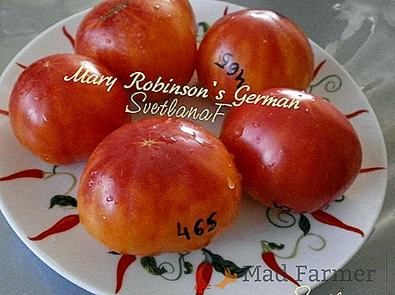 Una maravillosa variedad de tomate Mikado: una descripción de sus tomates favoritos para los residentes de verano