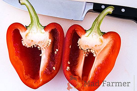 Un excelente tomate de grado híbrido "Polbig" complacerá tanto a los jardineros como a los granjeros