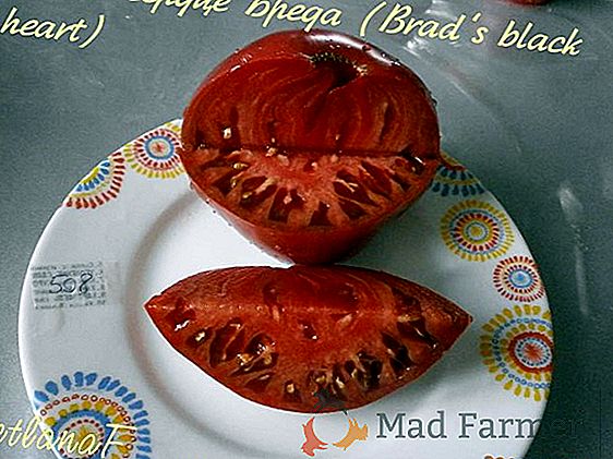 Ще один темний сорт томату - «Шоколадне диво», опис салатного помідора