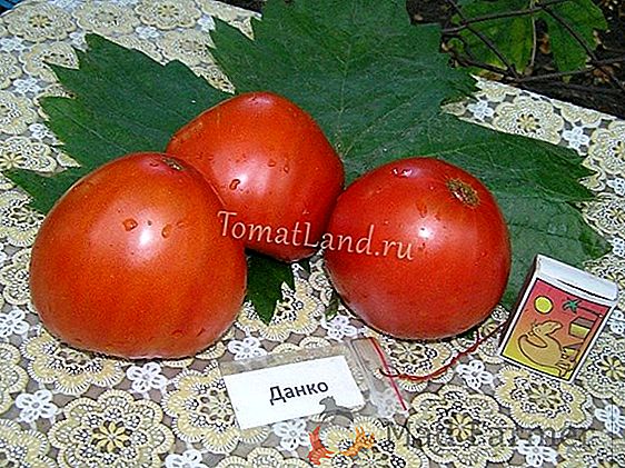 Charakterystyka, zalety, osobliwości uprawy pomidora "Pudovik"