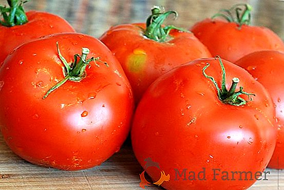 Características de excelentes tomates híbridos da série "Golden Raspberry Miracle"