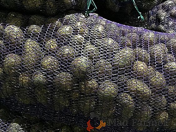 Características da batata-semente "Romano", uma descrição da variedade e fotos