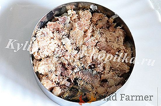 Salata clasică de Caesar cu varză de Pekinese, crotoni, pui și roșii și alte ingrediente