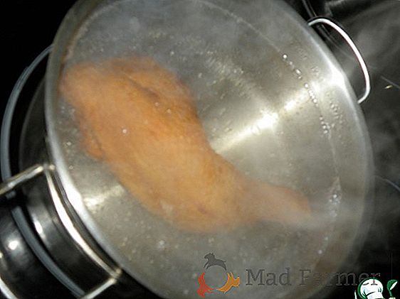 Kuchárske triky - koľko variť mrazené karfiol? Postupné pokyny