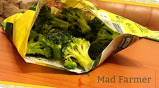 Delicate, gustoase și sănătos broccoli copt - retete pentru cuptor