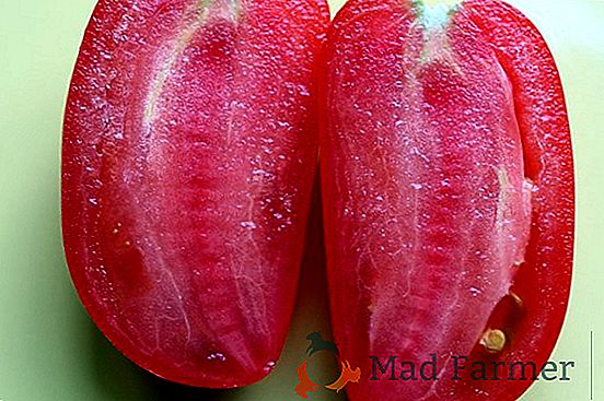 Delicioso y hermoso híbrido - una variedad de tomates "Persimmon" - descripción, cultivo, recomendaciones generales