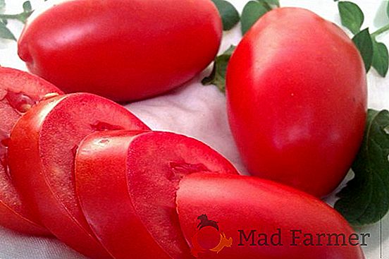 Deliciosa variedad de propósito universal - tomate Elena F1