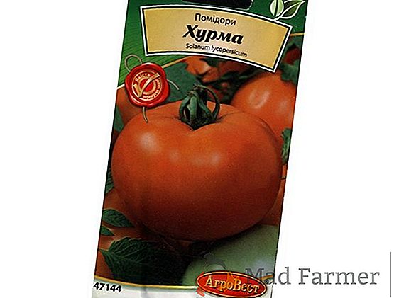 Отличен салатен доматен сорт - хибридният домат "Premier", описание и препоръки за грижи