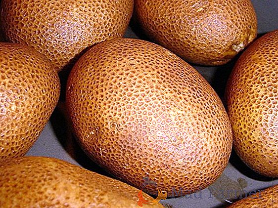 Gensko spremenjena sorta krompirja "Kiwi": značilnost, opis sorte, fotografija