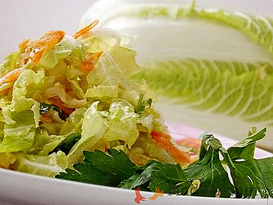Comment cuisiner des salades légères diététiques de chou de Pékin? Recettes, contenu calorique, service de photos