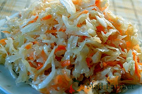 Come preparare l'insalata "Sposa" dal cavolo di Pechino con pollo fritto?