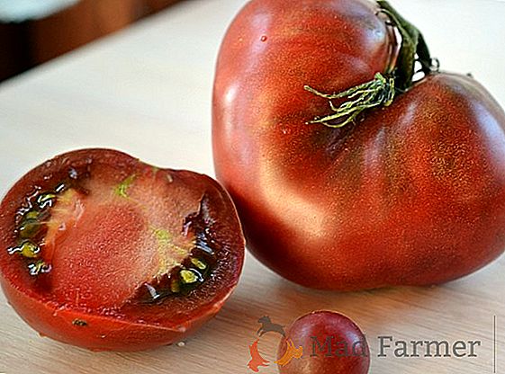 Variété de tomate japonaise Truffe noire - jusqu'à 6 kg. avec un buisson!