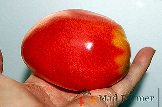 Tomate frutado grande "Aparentemente invisível": uma descrição da variedade, suas características e fotos