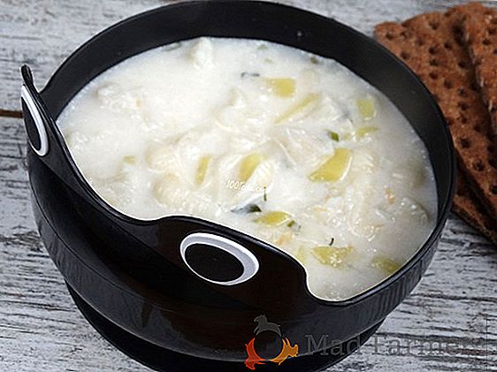 Sopa de queso ligera, pero abundante con coliflor - recetas e instrucciones detalladas para cocinar