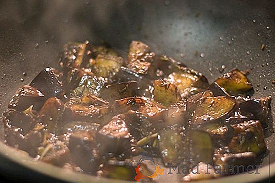 Pommes de terre aux multiples visages "Sorokodnevka": description de la variété, photos, conseils pour la culture