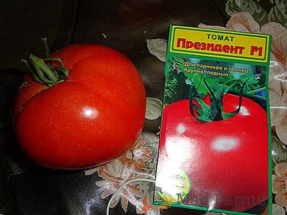 Tomate originale et à haut rendement "Tsar Bell" - une description de la variété, photo