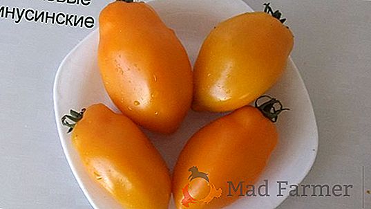 Tomate originale "Lorraine beauty": une description de la variété, photo