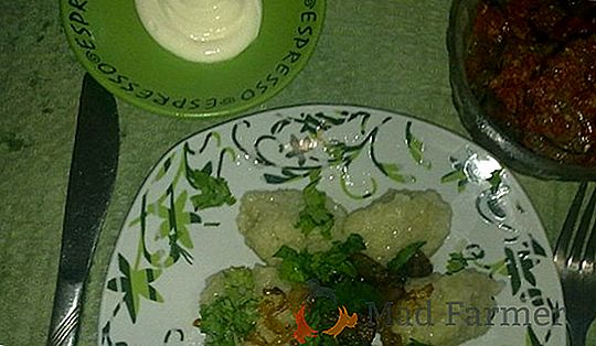 Patate popolari e forti "Krasa": una descrizione della varietà, foto