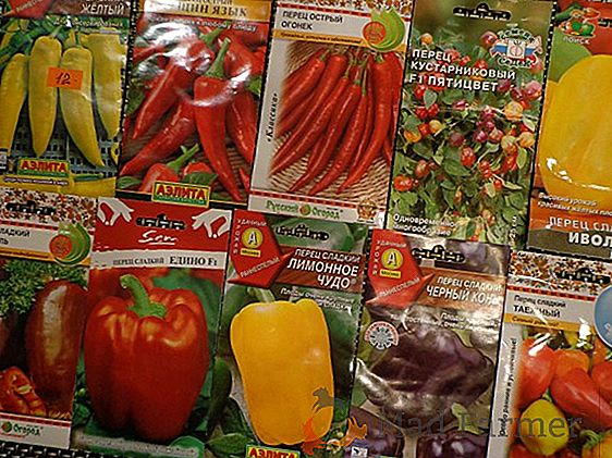 Препоръки за отглеждане на домати "Yellow Giant" и описание на сорта