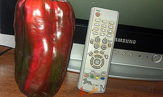 Домати с висока добив с малки плодове "Карамелено червено" F1: описание на сорта, средно тегло на домати, достойнство на плодовете и податливост към вредители