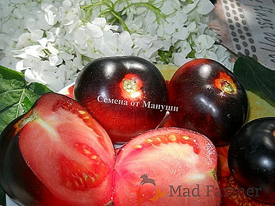 Интелигентно разнообразие без недостатъци - домат "Scarlet candles": описание и снимка