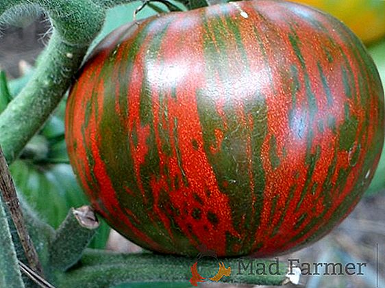 Tomate rayado "Sandía": descripción, característica de una variedad única y foto