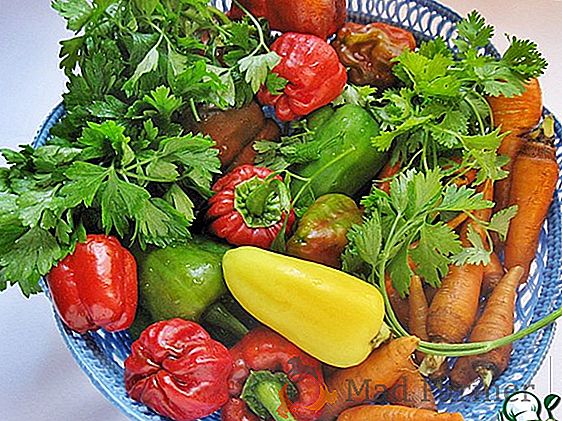 Солодкий і смачний томат «Медовий салют»: опис сорту і секрети вирощування