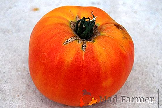 Pomodoro gustoso e fertile "Marmande": una descrizione della varietà e delle foto dei frutti