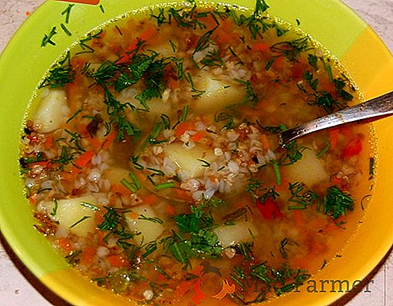As melhores receitas para sopa, borsch e outros primeiros pratos com repolho pequinês
