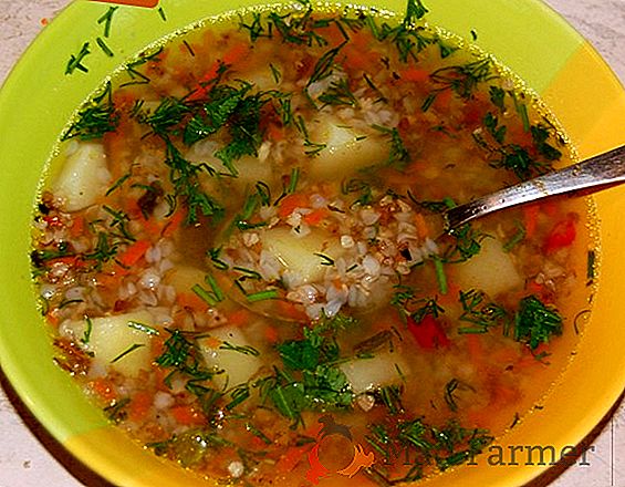 Cele mai bune retete pentru supa, borsch si alte prime cursuri cu varza Pekinese