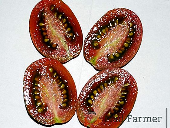 A melhor variedade para conservas - descrição e características do tomate híbrido "Caspar"