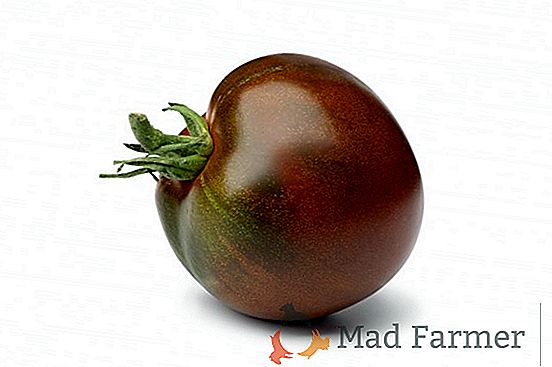 Гигантски сред домати "Чичо Степа": описание и тайни за отглеждане на разнообразие