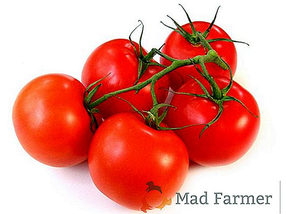 Tipul de tomate tip "Imperial" - "Mikado Pink": descrierea tomatei cu fotografii
