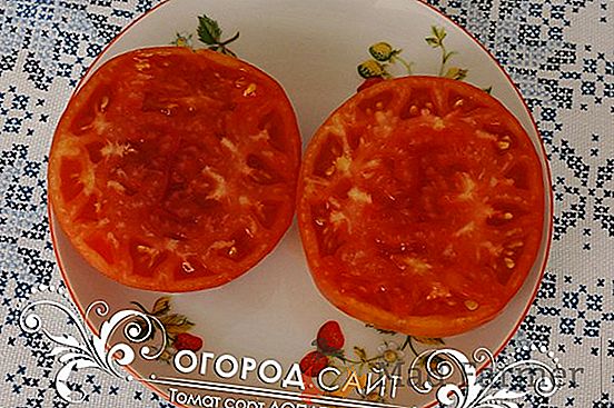 O tomate universal de meados de maturação "The Pink Tsar" - uma descrição da variedade e características
